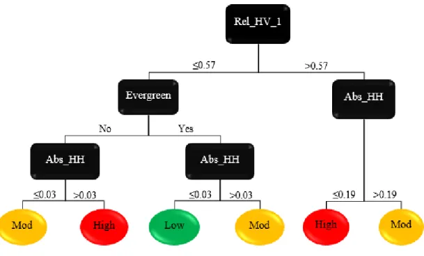 Figure 2.8 Break down of the decisions for developing the final SAR burn severity model 