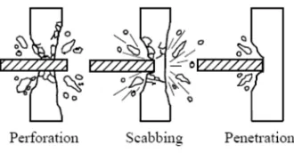 Figure 1. Typical SC Wall Section (from Johnson et al. (2014)) 