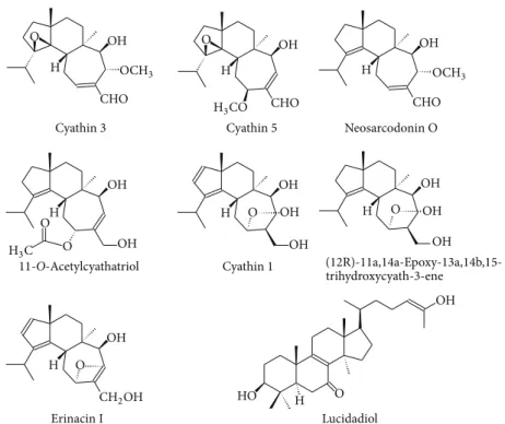 Figure 2: Examples of some terpenoid bioactive compounds isolated from edible mushrooms.