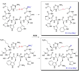 Figure 1.3. Generation of Carbocyclic Peptide Analogues via Ring Closing Metathesis. 