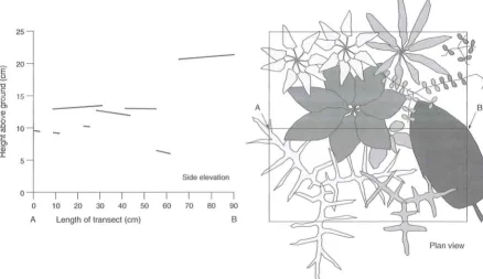Figure 20.6 Information required above for calculating leaf area index.The cross-section AB of vegetation structure is obtained from the plan view below by inserting an imaginary vertical plane into the plant canopy