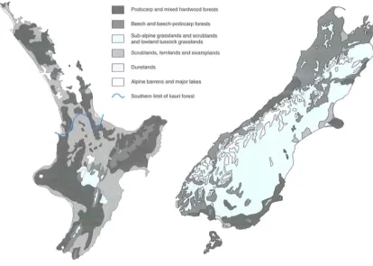 Figure 20.10 The terrestrial vegetation cover of New Zealand at about 1840. (Adapted from Cochrane 1973) 