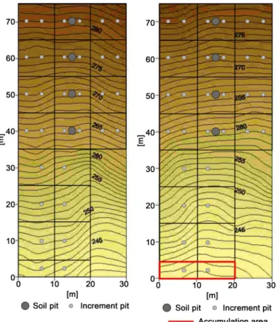 Figure 2. Schematic of the sampling in the forest site (C-site) on the left and the burned  site (B-site) on the right