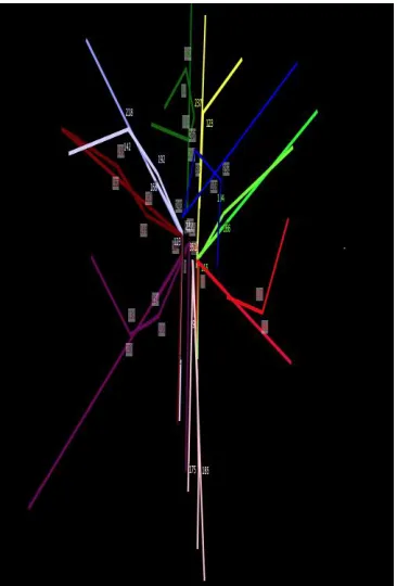 Table 1 describes each segment of all six gymnasts with the attendant body angles. The Beginners show a handstand position with greater flexion at the hip joint (Beg1: 57°; Beg2: 13°) when compared to a subset of the Elites and Intermediates