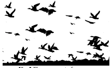 Fig. 2 The movement of a swarm. 
