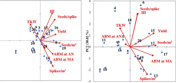 Figure 1. Biplot based on the twenty wheat genotypes (blue color), two water regimes  (Rainfed and Irrigated) and eight traits (red color) for two years