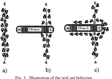 Fig. 1.  Illustration of the real ant behavior. 