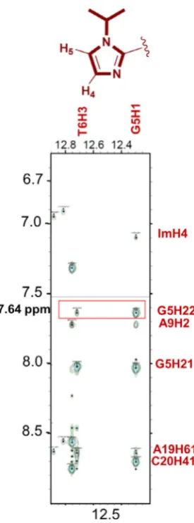 Figure 5. Strip plot analysis of 2D [1H, 1H] NOESY NMR data of PA4·ODN4.