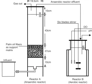 Fig. 3. Anaerobic and aerobic reactors used for the PHA production POME 
