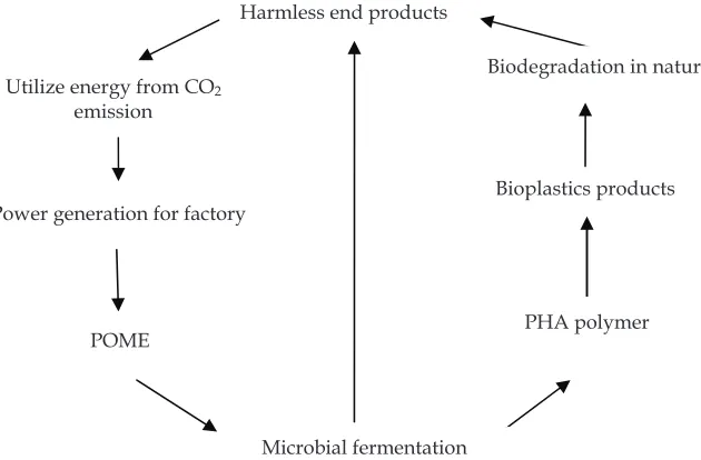 Fig. 2. Proposed cycle loop of regenerating waste from POME to biodegradable plastics, end-up with preventing pollution load to environment 
