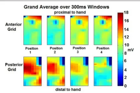 FIGURE 4 | Grand Averaged Windows for Feature Extraction per position perROI—The RMS values were obtained during 11 windows (300 ms each) of theisometric effort were averaged for each position of the thumb per grid placedon the forearm ROI