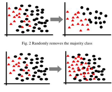 Fig. 2 Randomly removes the majority class 