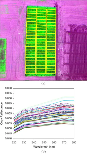 Fig. 12. (a) Corn plots of different varieties imaged by the MCA-6 camera onboard the UAV system