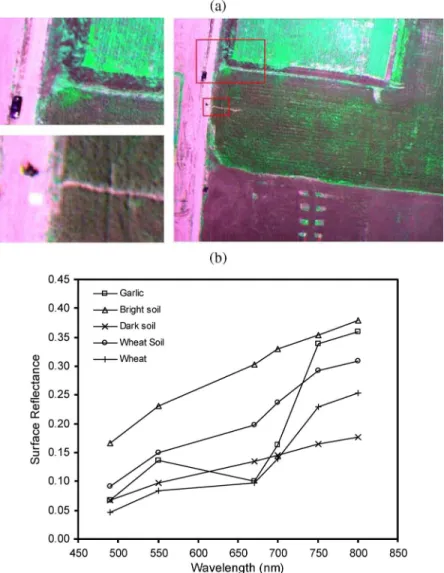 Fig. 4. (a) Multispectral imagery collected by the MCA-6 camera at 0.15-m spatial resolution and six spectral bands with 10-nm FWHM