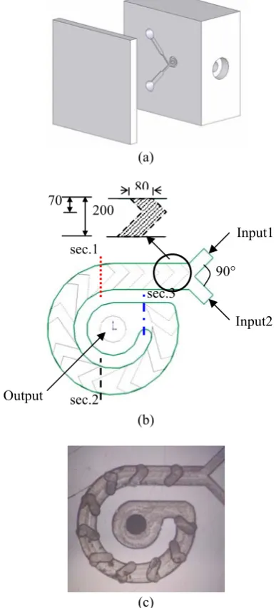 Figure 1. (a) Schematic of the helical channel micromixer. (b) Designed geometry of the mixing layer