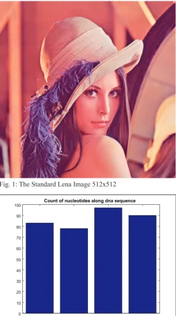 Fig. 1: The Standard Lena Image 512x512