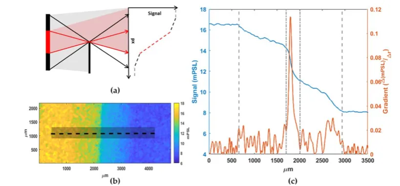 Figure 2. Operation of the penumbral foil, (a) schematic outlining the expected response from a two source x-ray signal, red a bright centralsource, and grey a larger substrate source (b) is a radiograph of the penumbral foil from a 100 μm thick target at 