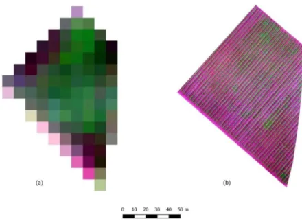 Figure 3: False-colour Sentinel (a) and UAV (b) images, Il Filò delle Vigne vineyard 