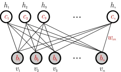 Figure 1. The undirected graph of an RBM with n hidden and m visible variables[9] 