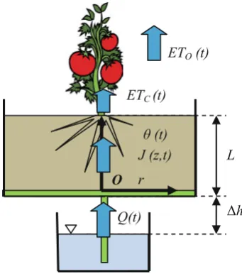 Fig. 1 Schematic of the systemfor modiﬁed subsurface irrigation