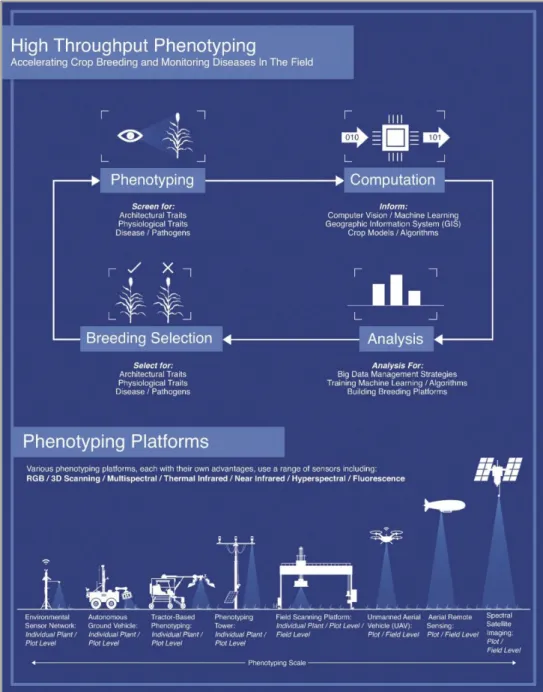 Figure 1.1: Phenotyping and crop-breeding cycle. Scale and resolution of  developed phenotyping platforms (Source: Shakoor et al., 2017).