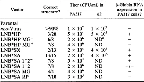 TABLE 1. Characteristics of PA317 cells containing,-globin vectorsa