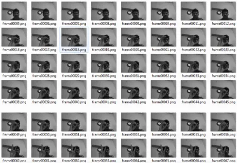 Figure 2: Frames from the video 