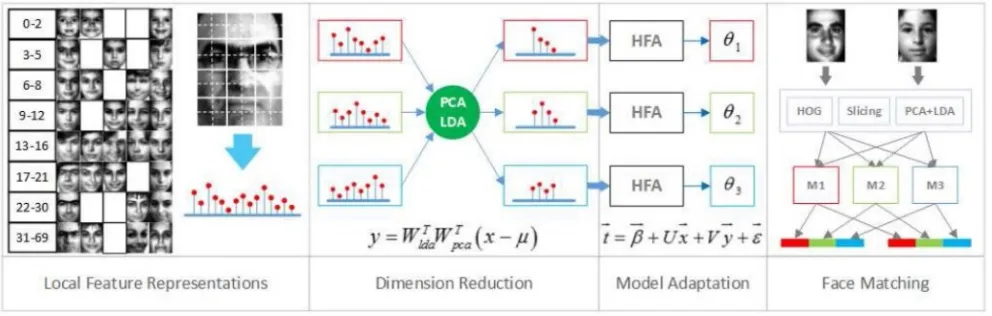 Fig 11. Illustration of the HFA based age-invariant face recognition system [20] 