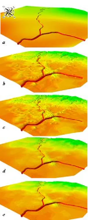 Figure 3.2: Natural terrain derived from 6th Polynomial degree (a), TIN-based terrain modelling (b),  ANUDEM (c), Ordinary Kriging (100 m conversion interval) (d), and Ordinary Kriging (5 m average block) (e), visualized in 3D 