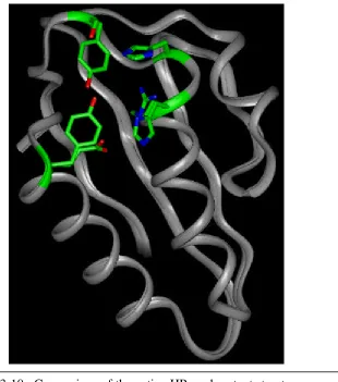 Figure 3-10:  Comparison of the native HPr and mutant structures
