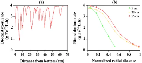 Fig. 7: (a-c) Snapshots of ferrous bioxidation rate in the  bioreactor at t=60, 120 and 180 s