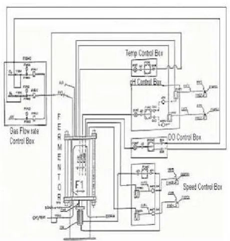 Fig. 2 Experimental set up 