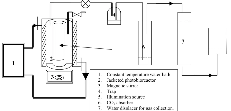 Fig.1: Experimental set up using triple jacketed prototype nnular photobioreactor used for Photofermentative hydrogen production 
