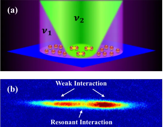 Figure 1.1 (a) The optical ﬁeld arrangement for creating an interaction “sandwich." BothAtom transfer is suppressed in regions of resonant interactions-central region of the atomicThe outer regions of the atomic cloud illuminated ν1 andν2 beams illuminate 