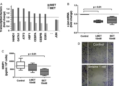 Figure 5Effects of anti-miR29 on the expression of (A) DNMT1 and (B) DNMT3A transcripts in untreated RASF (control) ortreated with L-methionine or betaine