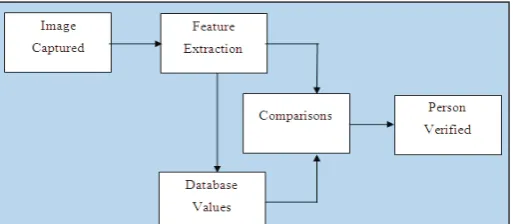 Fig. 1: Process Layout
