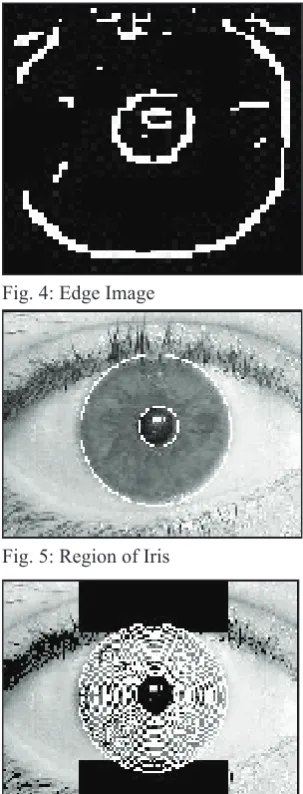 Fig. 4: Edge Image
