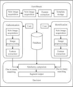 Fig. 1: Enrollment to a biometric system: First, the biometric data is captured. Then, extracted information is stored in an enrollment template and the template is stored in the database