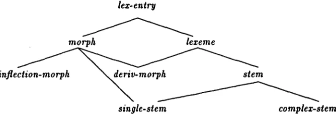 Figure 6: Part of the type lattice of the lexicon 