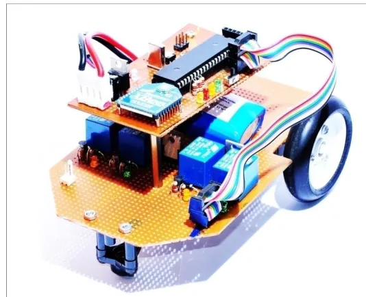 Figure 9:  The mobile robot 