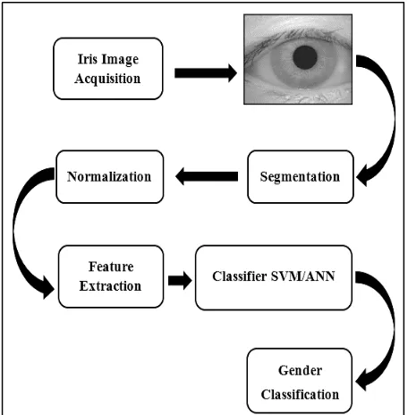 Fig 1: The Architecture of Iris Recognition System 