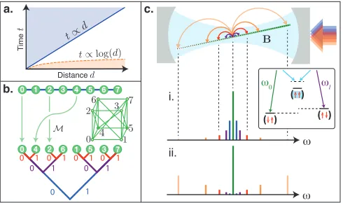 FIG. 1. Nonlocal spin models with cold atoms. (a) Lin-ear light cone vs. fast scrambling