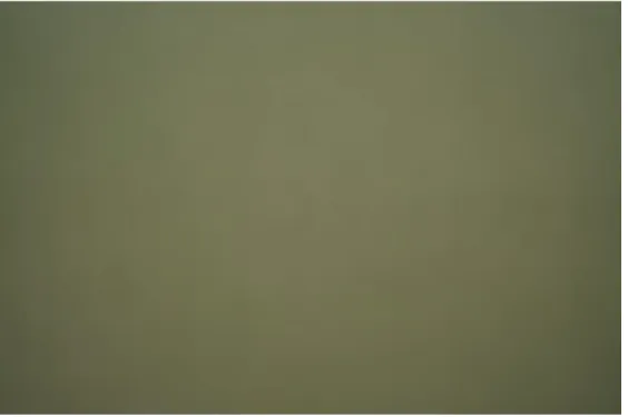 Fig. 3 RGB image averaged from >1000 different images. The image represents the vignetting pattern of the Sony NEX-5n 16 mm  lens camera setup
