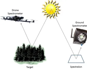 Fig. 5 reflectance measurements conducted with an airborne spectrometer over forest and a ground based device over a white  reference, both wirelessly synchronized to adapt to changing light conditions