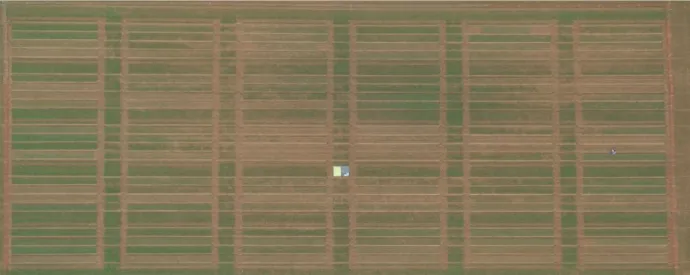 Fig. 7 rectified and vignetting corrected image of the density experiment as photographed with the UAV at the 22th of April  2014
