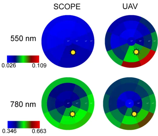 Fig. 10 Comparison of modeled angular reflectance calculated by SCOPE with the values measured by the UAV goniometer