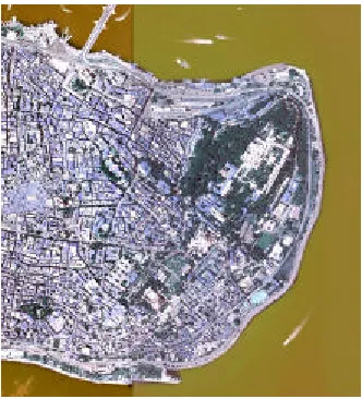 Figure 2: Optech laser scanning system