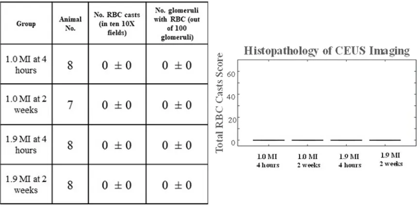 Figure 2-4: Histopathology Results. No bioeffects were observed after 1.0 and 1.9 MI pulse or at either time point