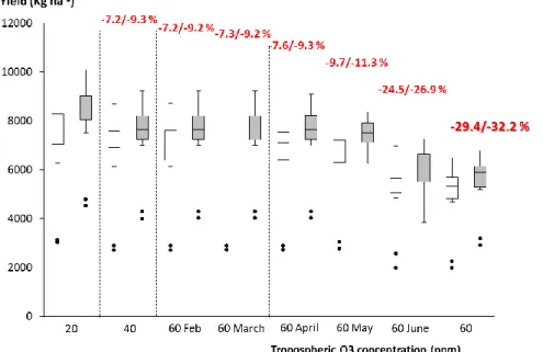 Figure 10. Boxplot of final yield values (kg ha -1 ) simulated for the pre-industrial, background and  high ozone concentrations scenarios