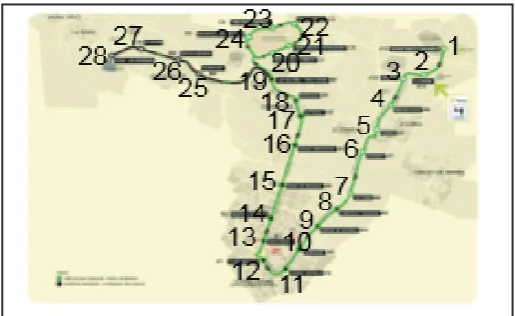 Fig. 6: Line Map of the Tram service in Murcia